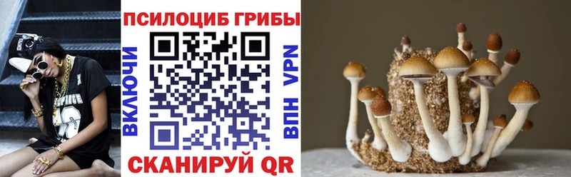 Псилоцибиновые грибы ЛСД  Северобайкальск 